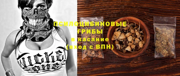 сатива Белоозёрский