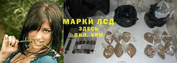 сатива Белоозёрский