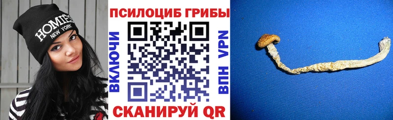 Псилоцибиновые грибы GOLDEN TEACHER  Валуйки 