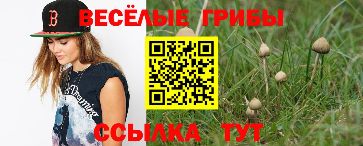 Галлюциногенные грибы Psilocybine cubensis  Вход с VPN  Валуйки 