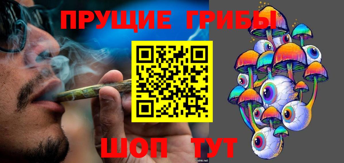 Псилоцибиновые грибы Cubensis Валуйки