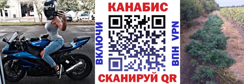 Конопля сатива купить сайты OMG tor Валуйки